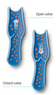 {xunruicms_img_title}