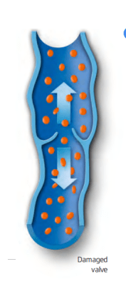 {xunruicms_img_title}